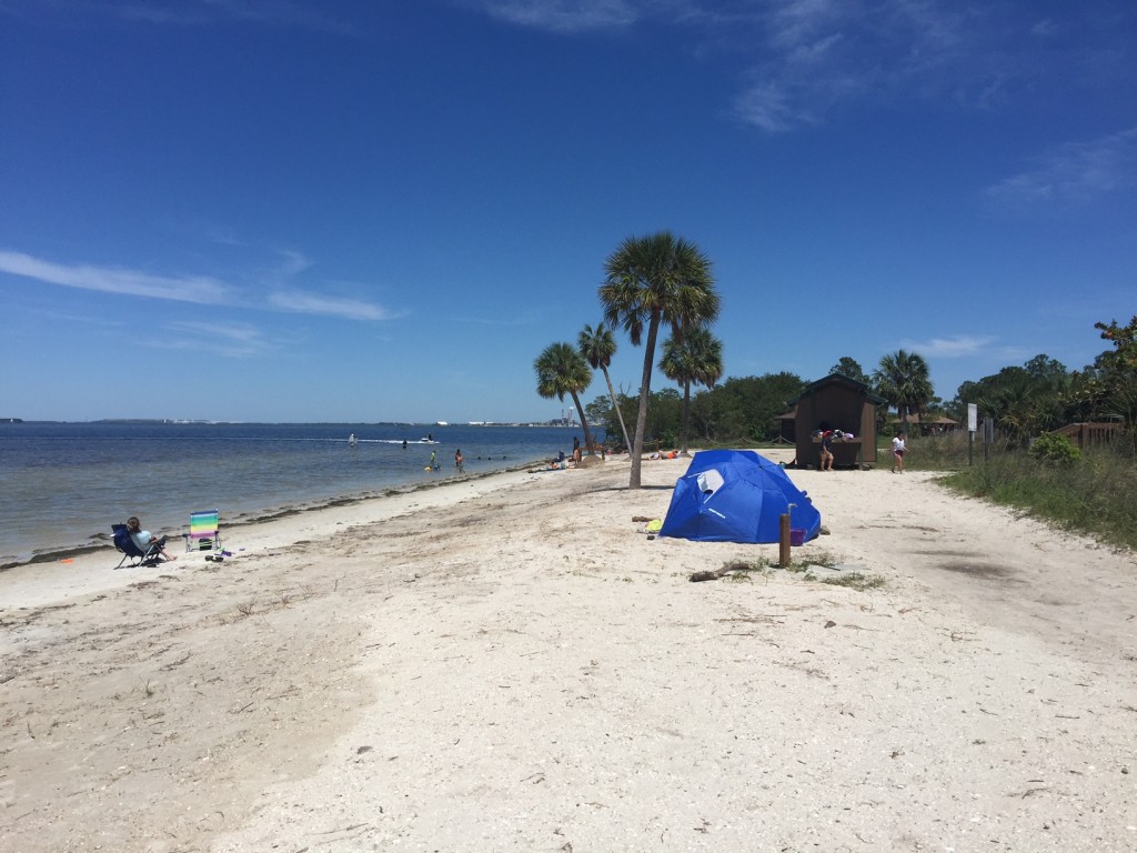 The beach inside the park. They bring in sand and try to make it look nice. But, this is Tampa Bay. If you're expecting shiny sand, you won't find it here.