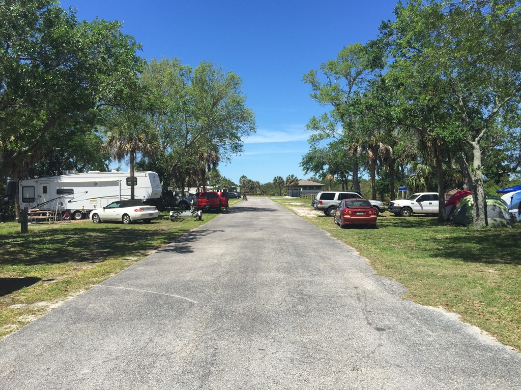 A look down the campground road.