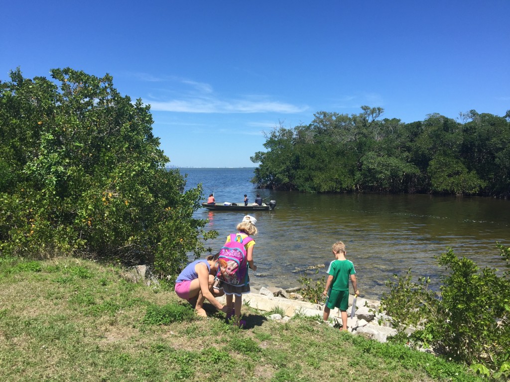 Mangroves, heat and sun make for the potential for a lot of bugs which bite. Beautiful, but be prepared.