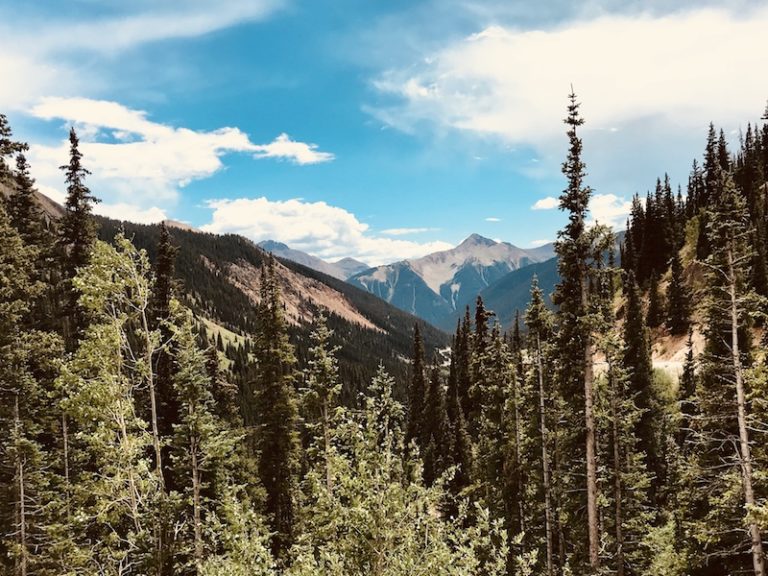 Some Beautiful Mountain Greenery Before The Desert (In Durango, CO)